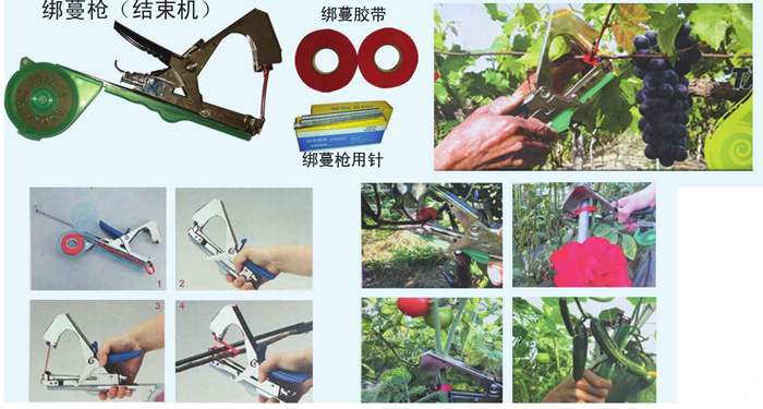 绑蔓枪（结束机）大.jpg